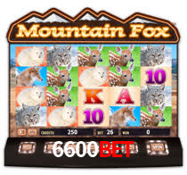 Interface Premium 6600Bet